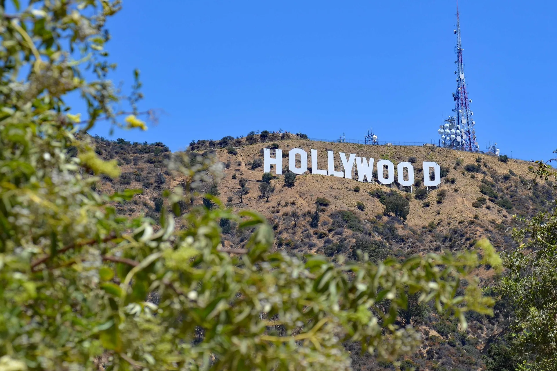 5 Things to Do in Los Angeles
