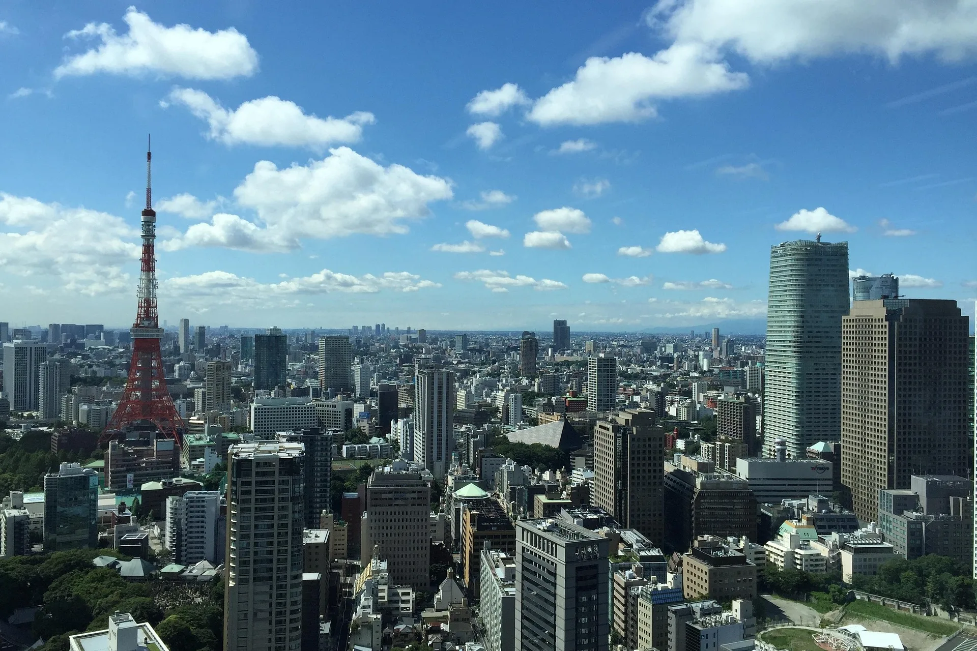 8 Things to Do in Tokyo