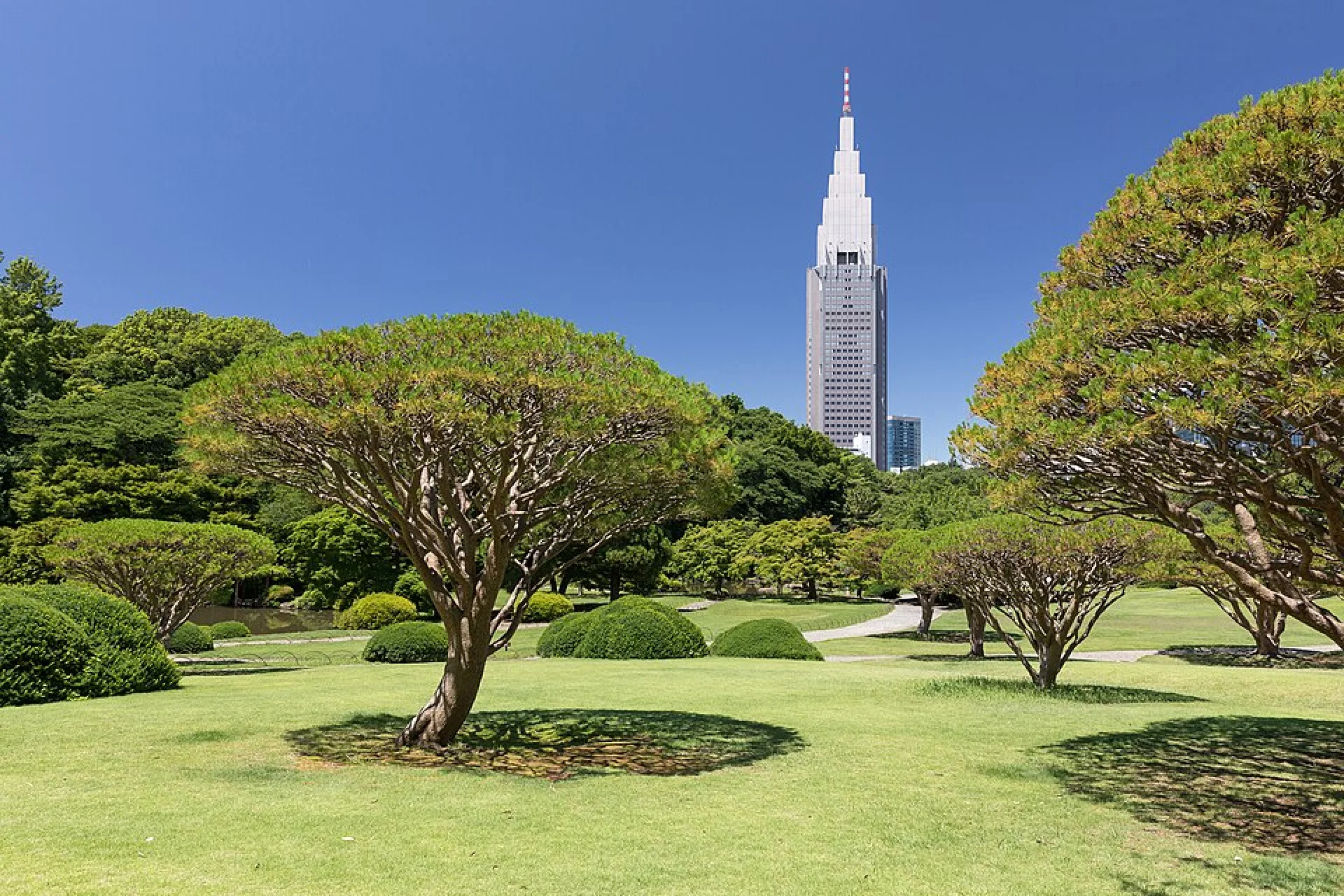 Shinjuku Gyoen Park