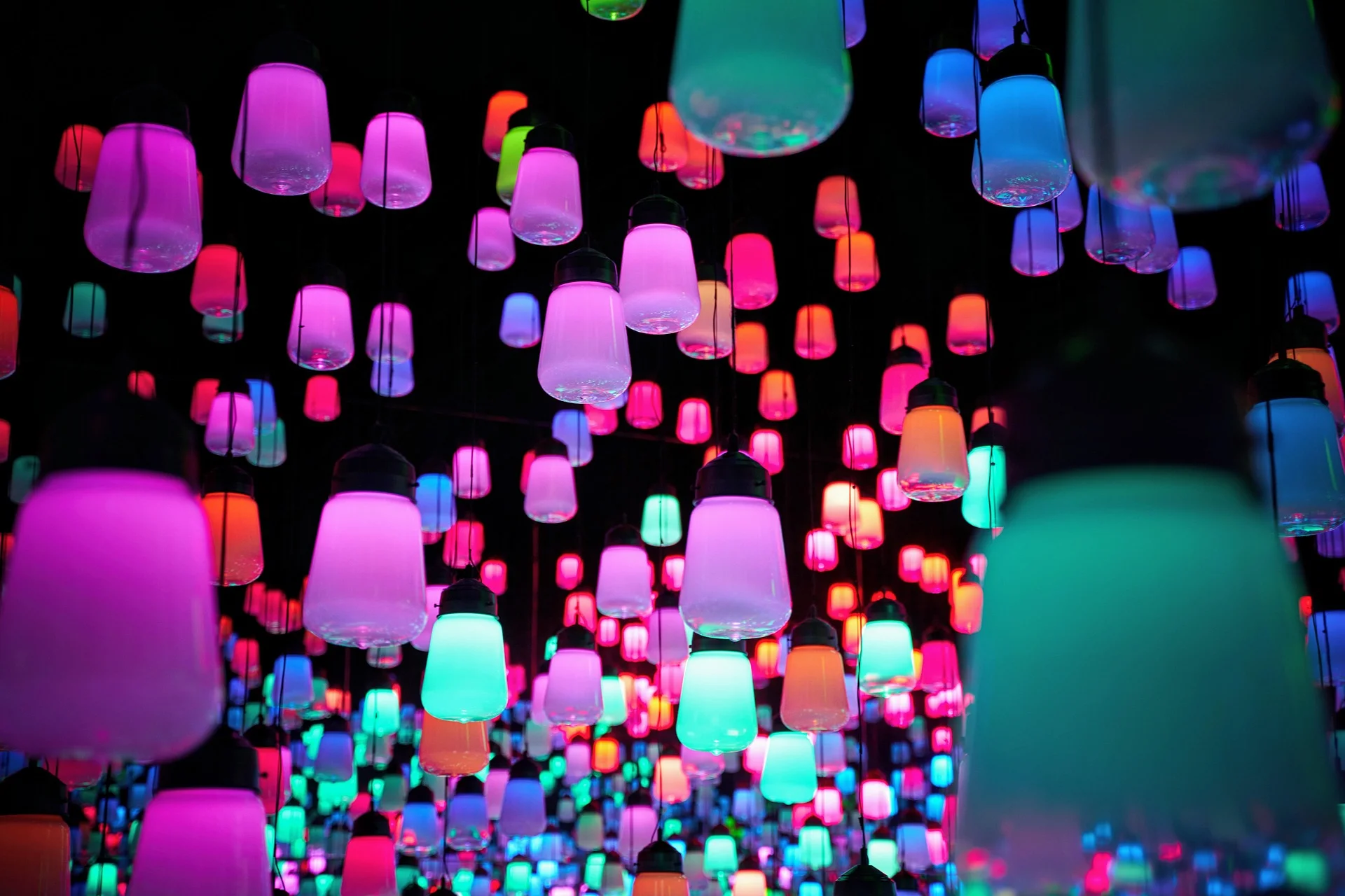 teamLab Borderless: MORI Building DIGITAL ART MUSEUM