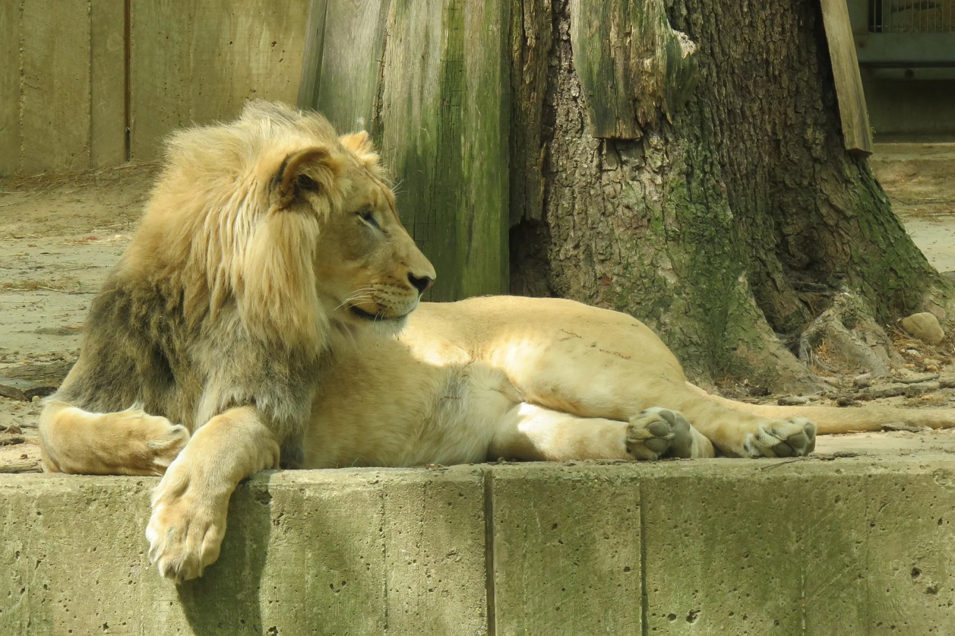 Smithsonian National Zoological Park