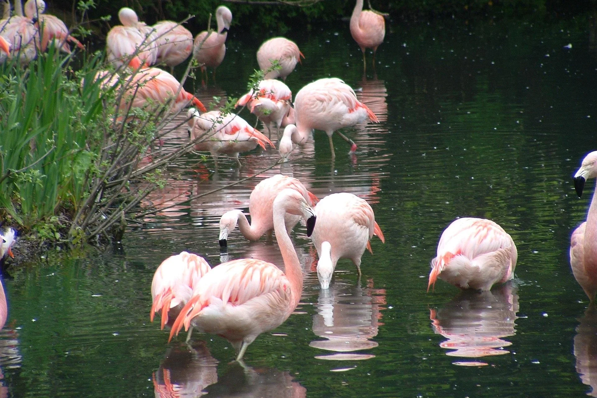 Zoo Dublin