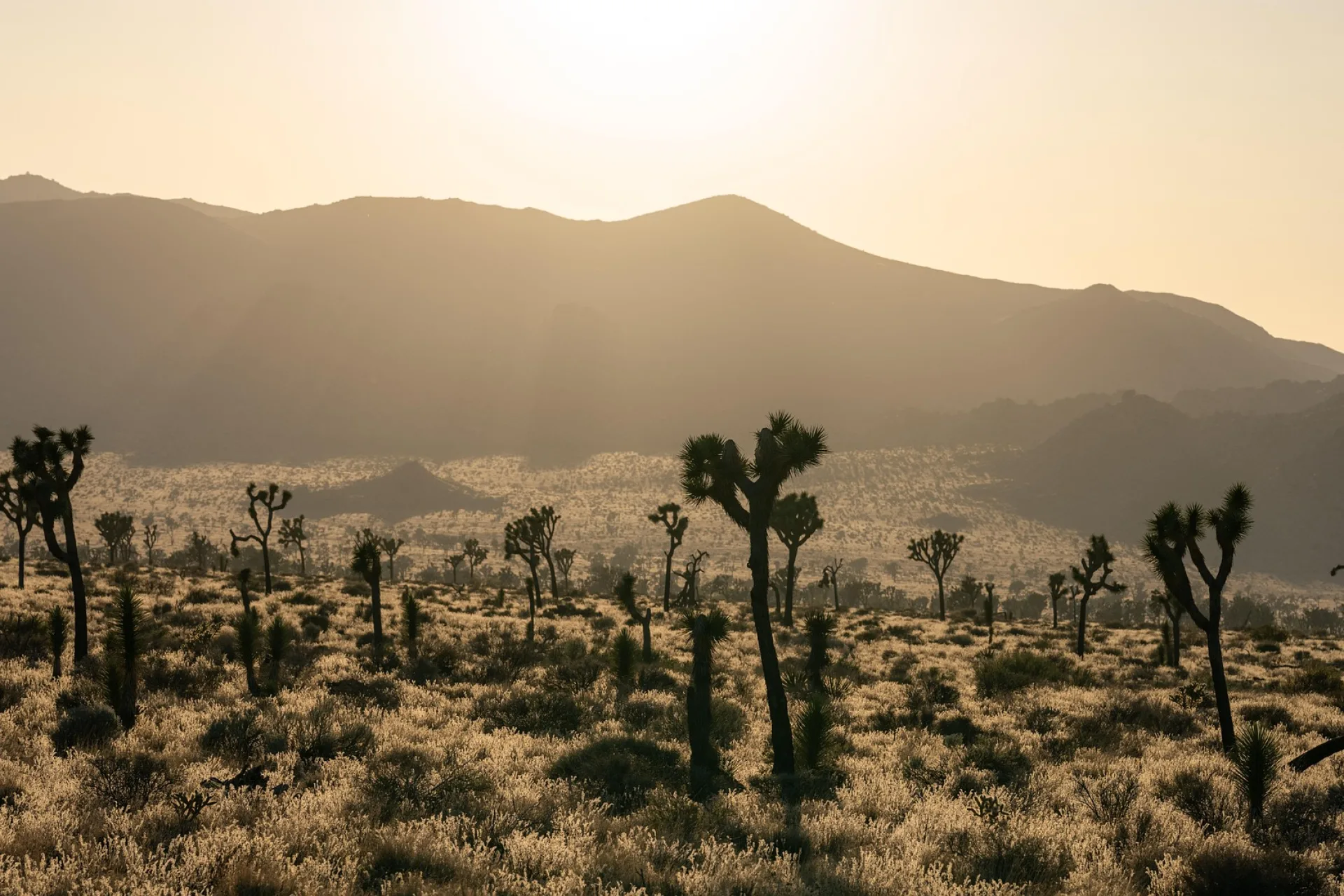 17 Things to Do in California